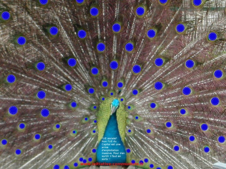 Le Paon et le Corbeau, par Floréal (fable réaliste)