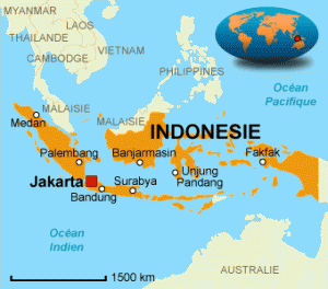 carte-indonesie-300x264