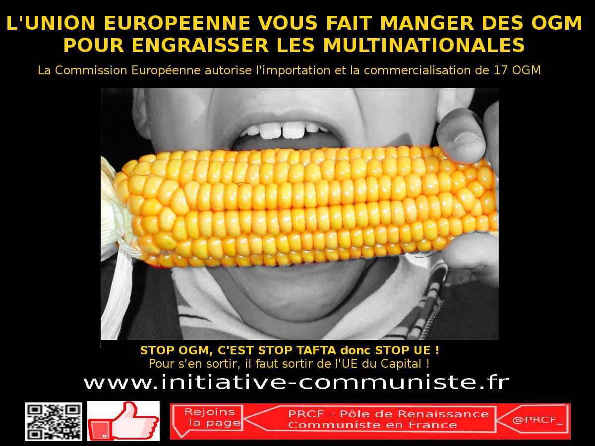 l’Union Européenne : la machine à vous faire manger des OGM et à servir Monsanto & Cie