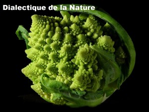 dialectique de la nature