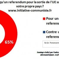 Sondage referendum pour la sortie de l'UE - pour un referendum