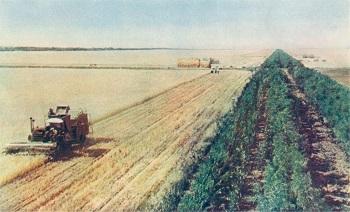 La première opposition à l’agriculture intensive court-termiste était soviétique