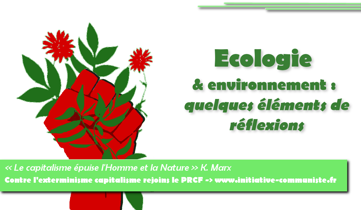 Ecologie & Environnement : quelques éléments de réflexions