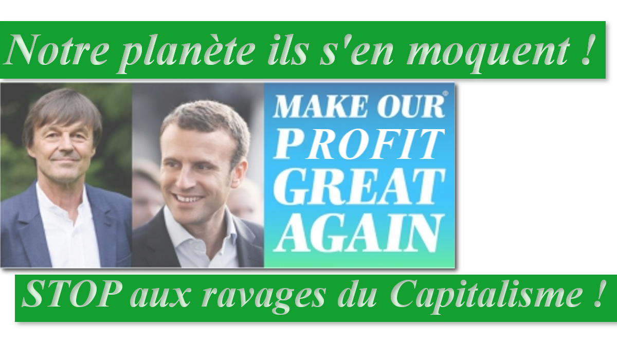Le bilan : Nicolas Hulot, vrai capitaliste faux écologiste