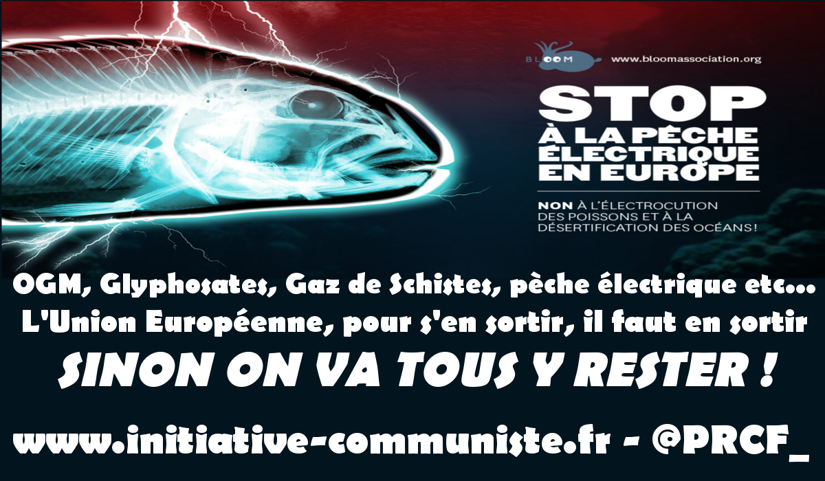 L’UE veut autoriser la pèche électrique et tuer les océans. Signer la pétition.