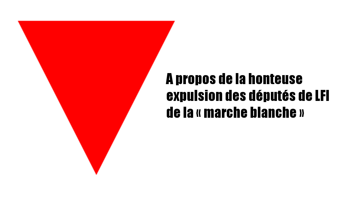 A propos de la honteuse expulsion des députés de LFI de la « marche blanche »