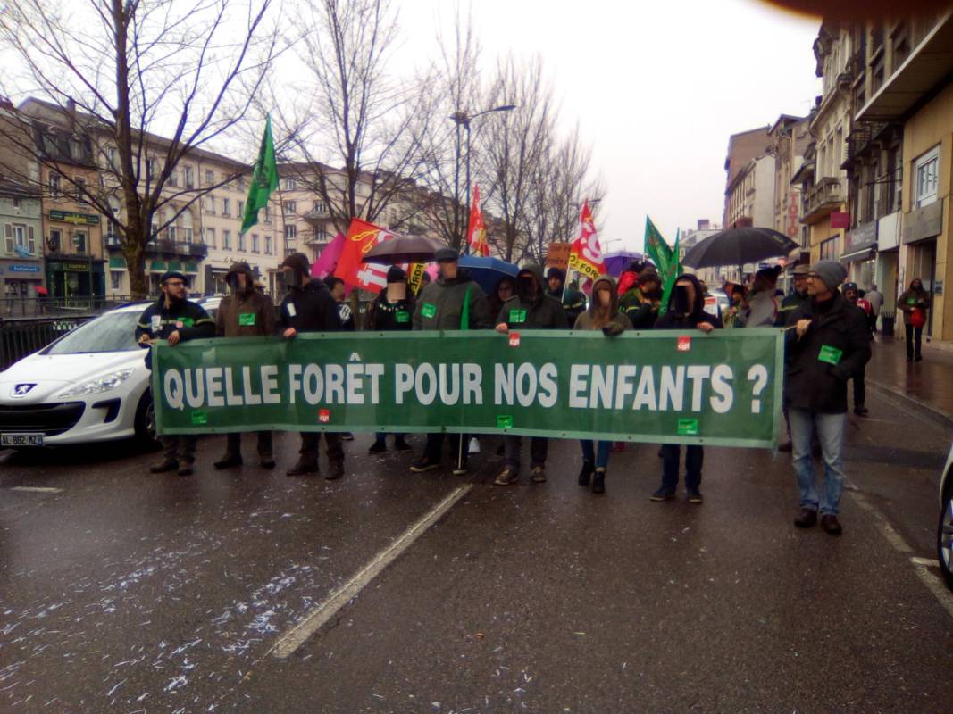 Quand le Capitalisme veut détruire la Forêt et les Forestiers