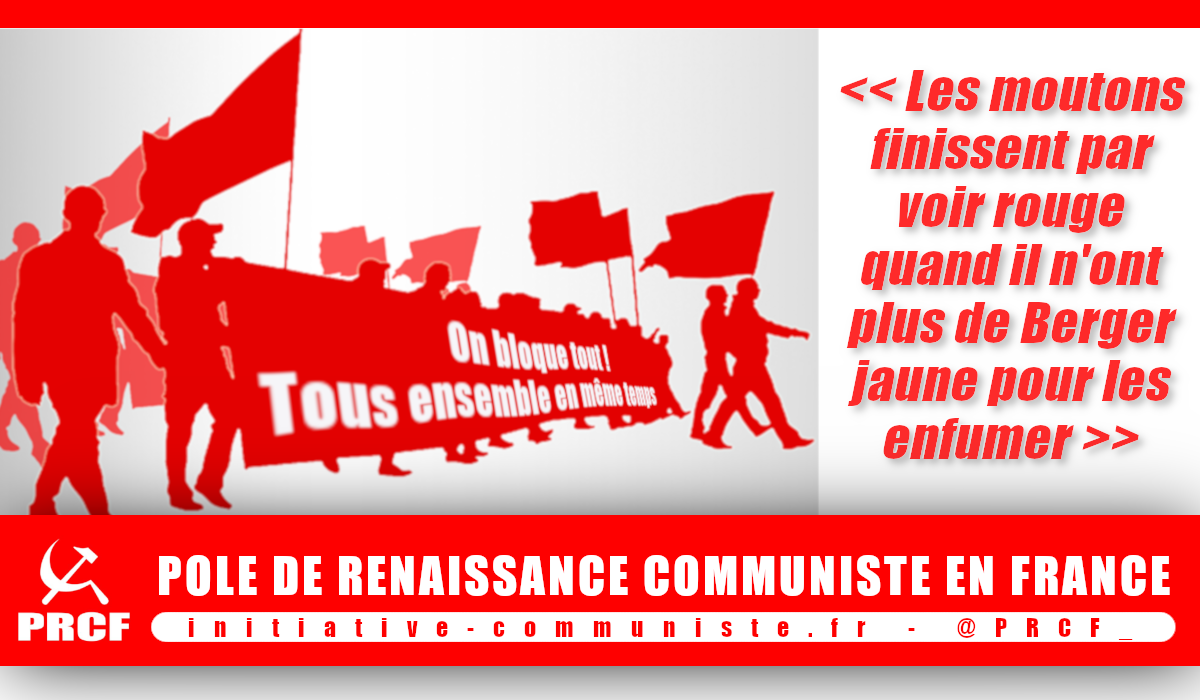 #GiletsJaunes Les moutons finissent par voir rouge quand il n’ont plus de Berger jaune pour les enfumer