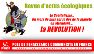 « Un mois de plus sur le dos de la planète » revue d’actualité écologique