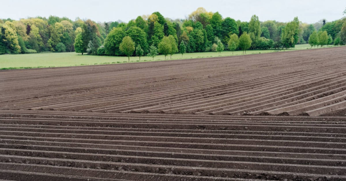 Macron, MEDEF, UE, détruisent nos conquis sociaux et l’agriculture française !