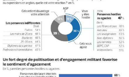 Une très large majorité des français agacée par le tout anglais, la défense de la langue française très majoritaire à gauche.