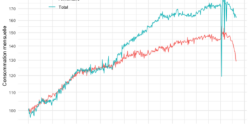 Les français ont faim : les achats alimentaires diminués de 17% en 2023,  les smicards obligés de supprimer une repas chaque jour.