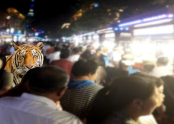 Chine : Du tourisme en pays ouïghour ou « Y a-t-il un tigre dans le marché ? »