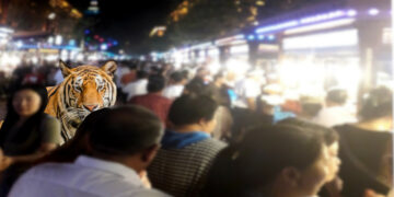 Chine : Du tourisme en pays ouïghour ou « Y a-t-il un tigre dans le marché ? »