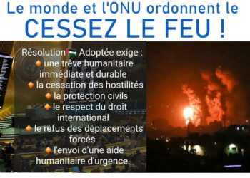 Gaza sous les bombes : pour stopper le génocide, le monde vote à l’ONU une résolution ordonnant le cessez-le-feu !