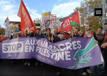 France : par centaines de milliers des manifestants pour le cessez le feu immédiat à Gaza, contre la complicité de Macron