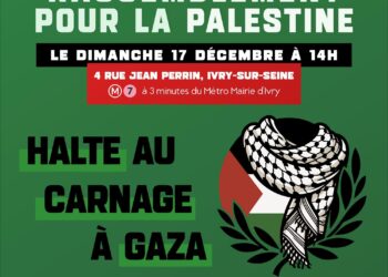 Halte au massacre à Gaza : le PRCF appelle à manifester