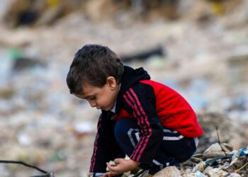 Appel à soutien humanitaire aux personnes déplacées des populations palestinienne et libanaise (FDLP)