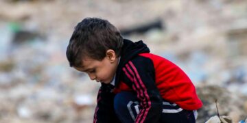 Appel à soutien humanitaire aux personnes déplacées des populations palestinienne et libanaise (FDLP)