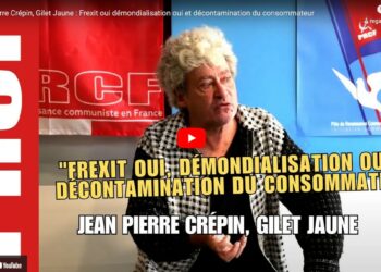 Jean-Pierre Crépin, Gilet jaune : Frexit oui, démondialisation oui, et décontamination du consommateur
