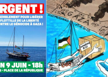 Piraterie et séquestration israélienne de la flottille de la liberté : 150 manifestations contre le génocide à Gaza.