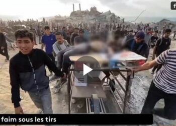 L’horreur génocidaire : les soldats israéliens avouent tirer sur les civils palestiniens affamés lors de distributions alimentaires
