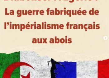 Les raisons de la diabolisation de l’Algérie : les explications du Comité Henri Alleg
