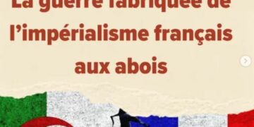 Les raisons de la diabolisation de l’Algérie : les explications du Comité Henri Alleg