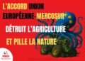 LA PREUVE PAR LE MERCOSUR