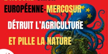 LA PREUVE PAR LE MERCOSUR