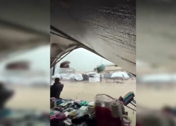 Solidarité avec les palestiniens : manifestons ce samedi 20 décembre [14h Paris Chatelet ]