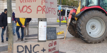 DNC : Stopper le régime Macron UE qui abat les troupeaux et agresse les paysans