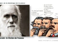 12 février, l&rsquo;anniversaire de Darwin : l&rsquo;Humanité c&rsquo;est l&rsquo;inverse de la loi du plus fort