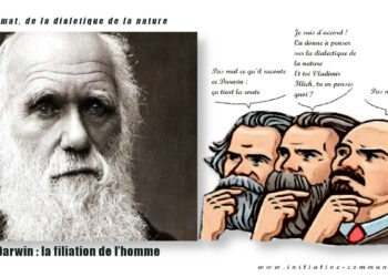 12 février, l&rsquo;anniversaire de Darwin : l&rsquo;Humanité c&rsquo;est l&rsquo;inverse de la loi du plus fort.