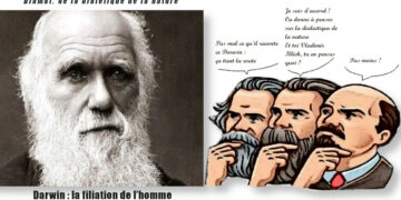 12 février, l&rsquo;anniversaire de Darwin : l&rsquo;Humanité c&rsquo;est l&rsquo;inverse de la loi du plus fort.