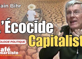 Vidéo – L&rsquo;ÉCOCIDE CAPITALISTE – avec Alain BIHR [ Café Marxiste]